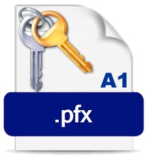 INST A1 CERTIFICADO DIGITAL